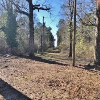 31 Acres and Camp Copiah Co. images 3