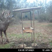 31 Acres and Camp Copiah Co. images 4