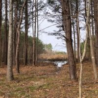 40.65 Acres in Hinds County in Raymond  MS