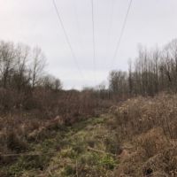 40.65 Acres in Hinds County in Raymond  MS images 5