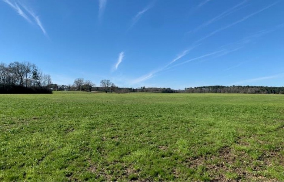 209 Acres in Amite County in Summit  MS featured image