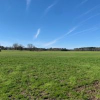 209 Acres in Amite County in Summit  MS