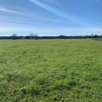 209 Acres in Amite County in Summit  MS images 2