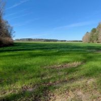 209 Acres in Amite County in Summit  MS images 3