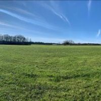 209 Acres in Amite County in Summit  MS images 4
