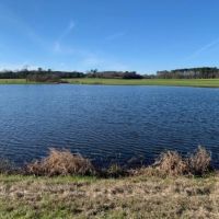 209 Acres in Amite County in Summit  MS images 5
