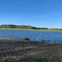 209 Acres in Amite County in Summit  MS images 6