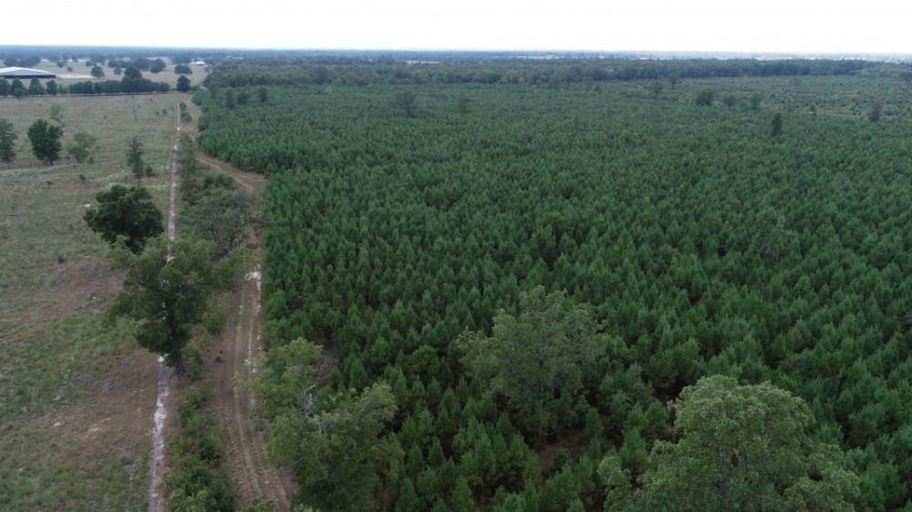 344 Acres Red River County featured image