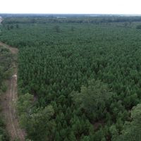 344 Acres Red River County