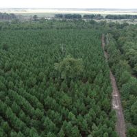 344 Acres Red River County images 2