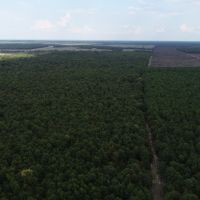 344 Acres Red River County images 3