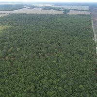 344 Acres Red River County images 4