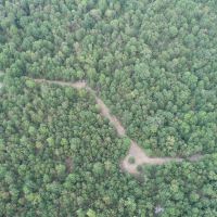 344 Acres Red River County images 5