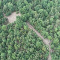 344 Acres Red River County images 6