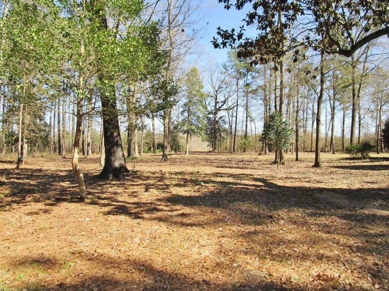 148 Acres Hunting Timberland for Sale Brookhaven  MS featured image