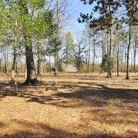 148 Acres Hunting Timberland for Sale Brookhaven  MS