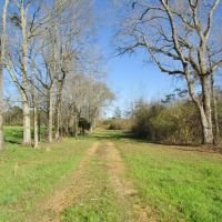 148 Acres Hunting Timberland for Sale Brookhaven  MS images 4