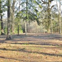 148 Acres Hunting Timberland for Sale Brookhaven  MS images 6