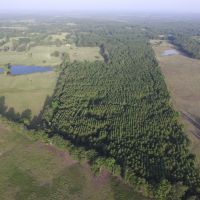 66 Acres in Red River County