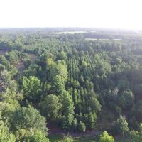 66 Acres in Red River County images 3