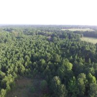 66 Acres in Red River County images 4