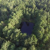 66 Acres in Red River County images 5