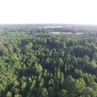 66 Acres in Red River County images 6