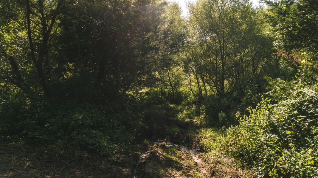 Secluded East TN farm for Sale Great Hunting Property Hancock County