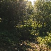 Secluded East TN farm for Sale- Great Hunting Property Hancock County