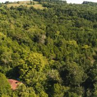 Secluded East TN farm for Sale- Great Hunting Property Hancock County images 2