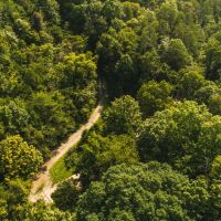 Secluded East TN farm for Sale- Great Hunting Property Hancock County images 3