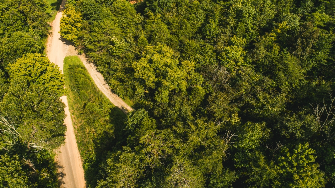 Secluded East TN farm for Sale Great Hunting Property Hancock County