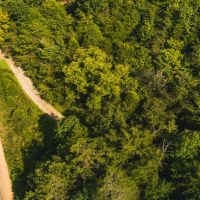 Secluded East TN farm for Sale- Great Hunting Property Hancock County images 4