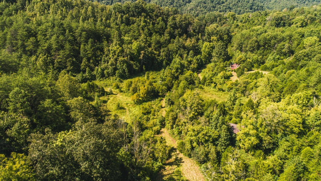 Secluded East TN farm for Sale Great Hunting Property Hancock County Hunting Land for Sale