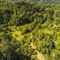 Secluded East TN farm for Sale- Great Hunting Property Hancock County images 5