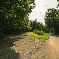 Secluded East TN farm for Sale- Great Hunting Property Hancock County images 6