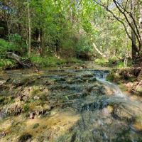 300 Acres on River  Private Lake  and Home images 5