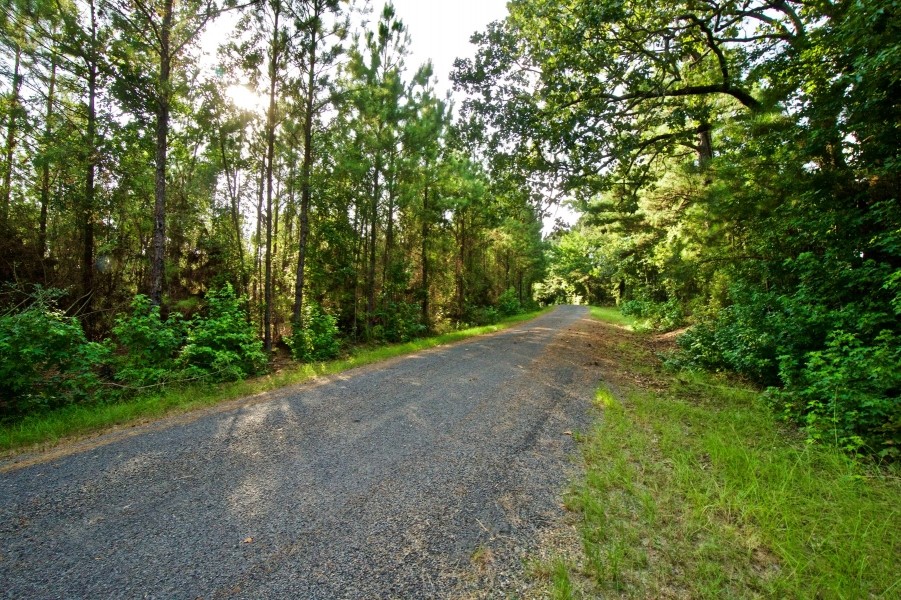 DEVELOPMENT TIMBER LAND - 13 ACRES - SAILES  LA featured image