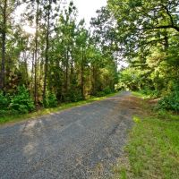 DEVELOPMENT TIMBER LAND - 13 ACRES - SAILES  LA