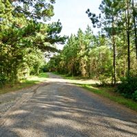 DEVELOPMENT TIMBER LAND - 13 ACRES - SAILES  LA images 4