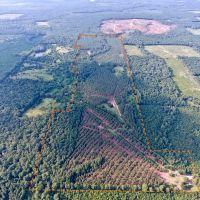 DEVELOPMENT TIMBER LAND - 13 ACRES - SAILES  LA images 5
