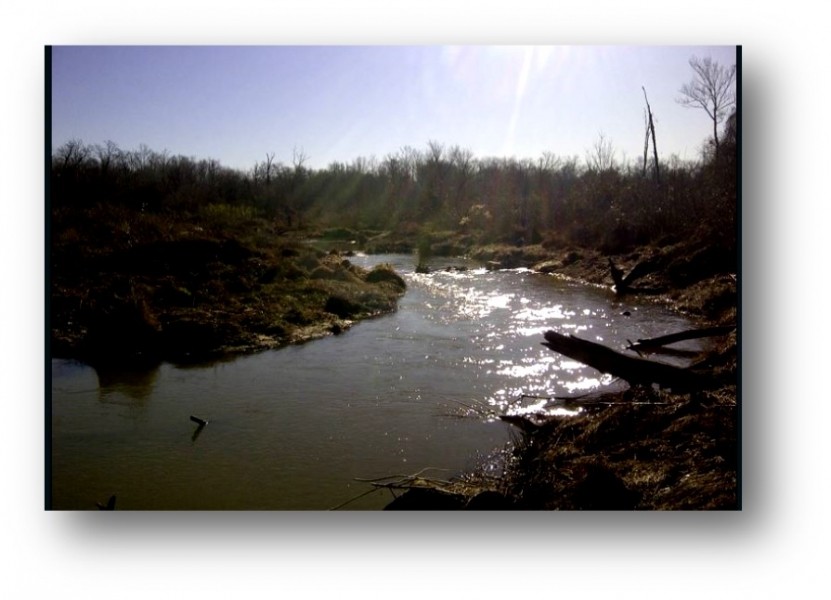 540 Acres in Marshall County in Red Banks  MS featured image