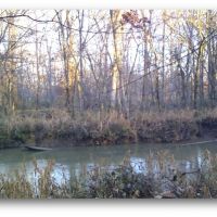 540 Acres in Marshall County in Red Banks  MS images 2