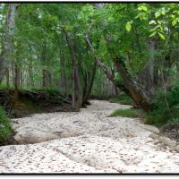 540 Acres in Marshall County in Red Banks  MS images 3
