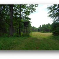 540 Acres in Marshall County in Red Banks  MS images 4