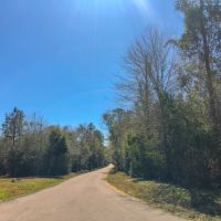 38 Acres &nbsp; Village Creek