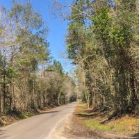 38 Acres &nbsp; Village Creek images 2