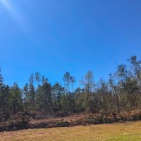 38 Acres &nbsp; Village Creek images 3