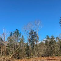 38 Acres &nbsp; Village Creek images 5