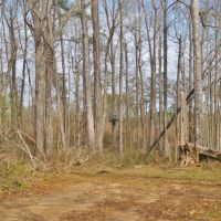 200 Acre Hunting Investment Home Site Land for Sale in SW MS images 4